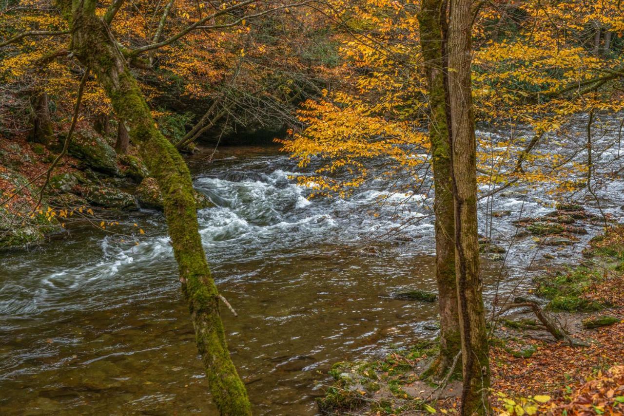 Fox Hollow Little Cove Esterno foto
